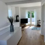 Sternelounge