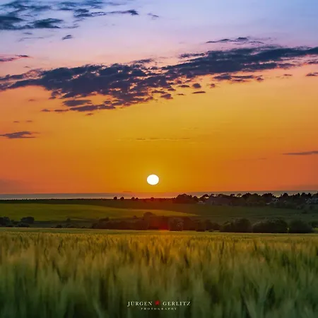 Daire Sternelounge *